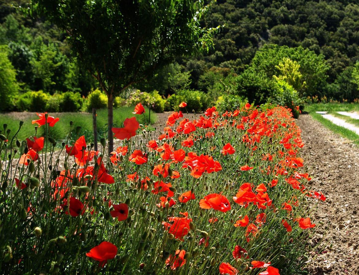 Le Mas De La Fontaine Bed & Breakfast Le Pegue Luaran gambar